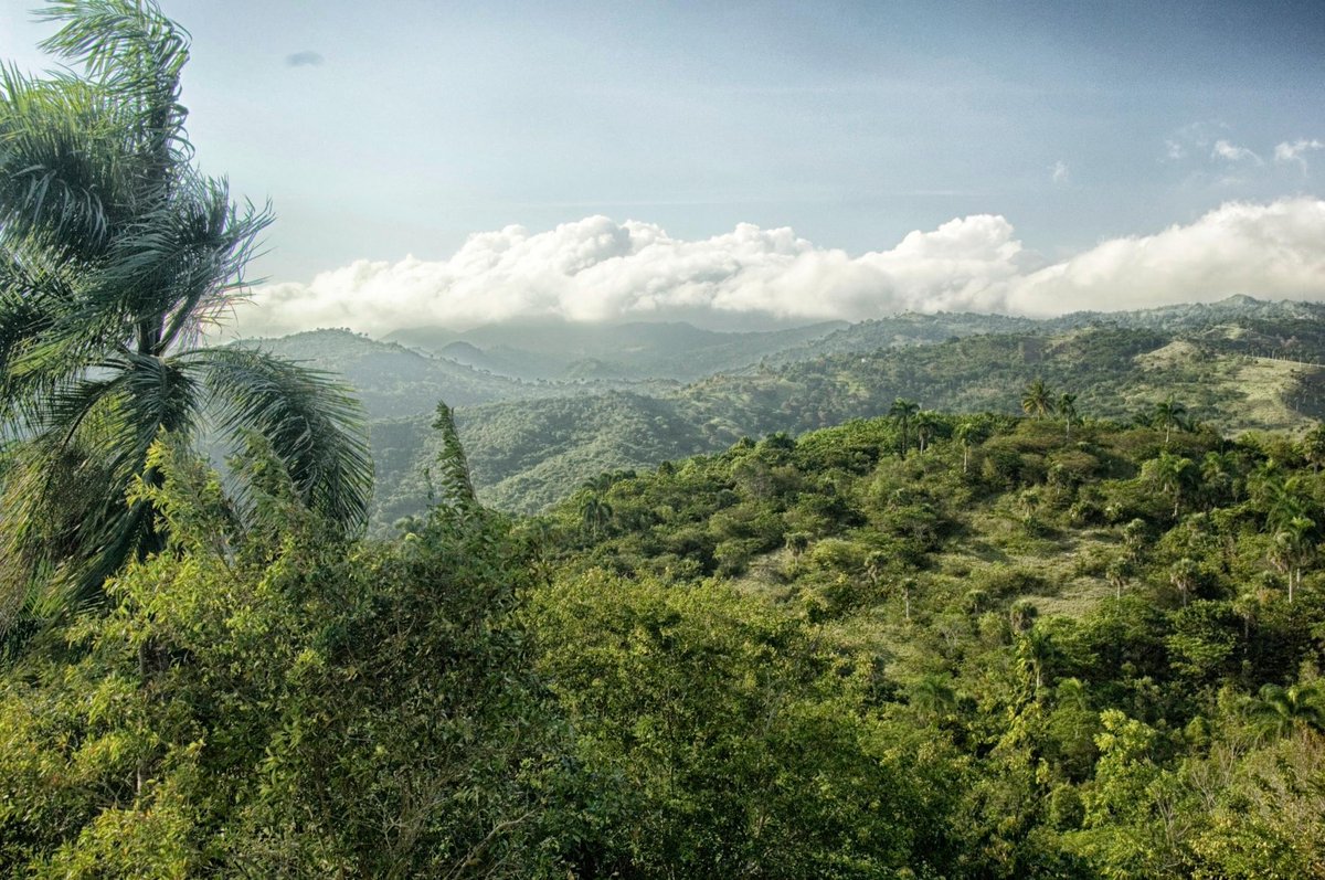 pnud's tweet photo. En la República Dominicana 🇩🇴, como en gran parte del mundo, los efectos del cambio climático incrementan las desigualdades.

@pierre_candelon, del @PNUDrd, ofrece 8⃣ recomendaciones para combatir este problema y promover la #AcciónClimática. 

Léelas: https://t.co/74vw2pT3Zp https://t.co/AhdGCFVDwD