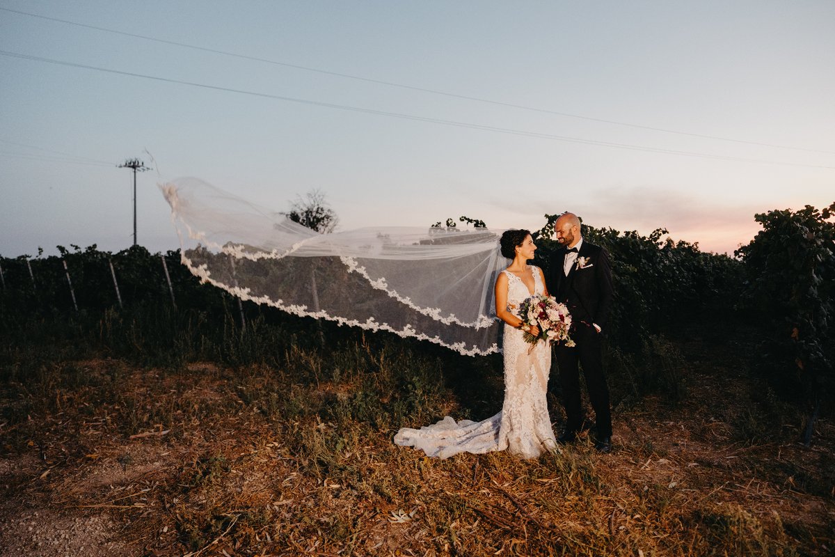 Yolancris tweet media