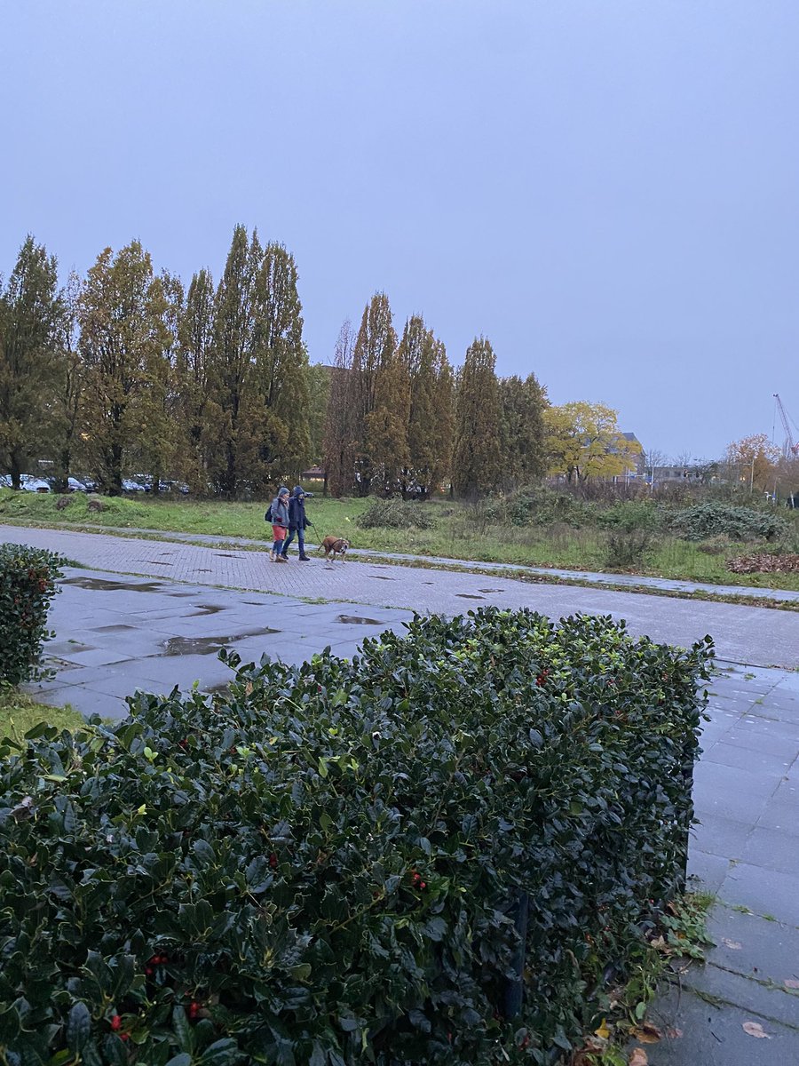 Vanavond gesprek met raad over stedenbouwkundig plan Duivendaal. Net nog even het gebied verkend. Op geweldige plek tegen het centrum komen 240 woningen bij als Raad instemt! #wageningen
