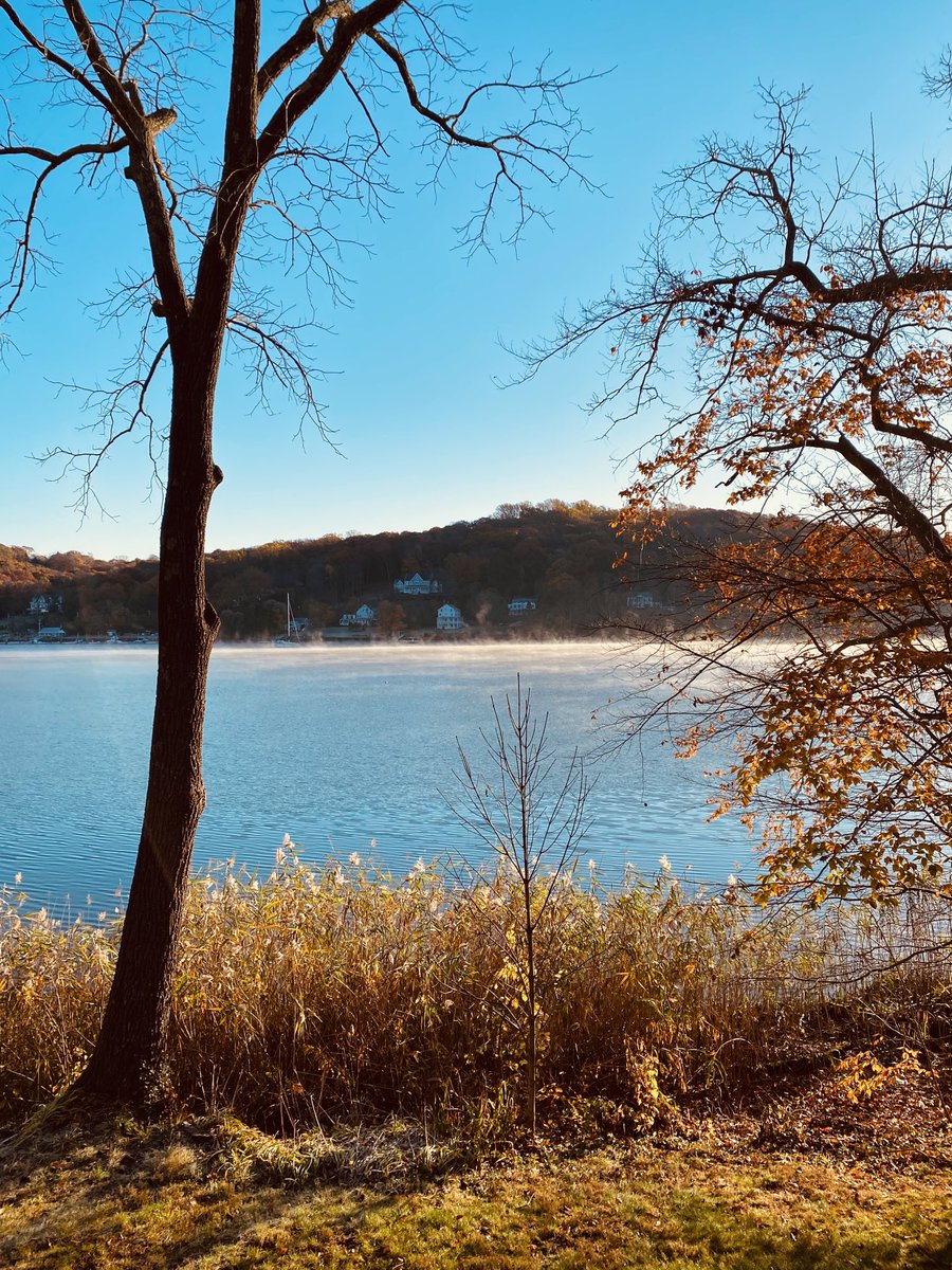 Morning vibes at Cold Spring Harbor Lab 🧪 🧫 🥼