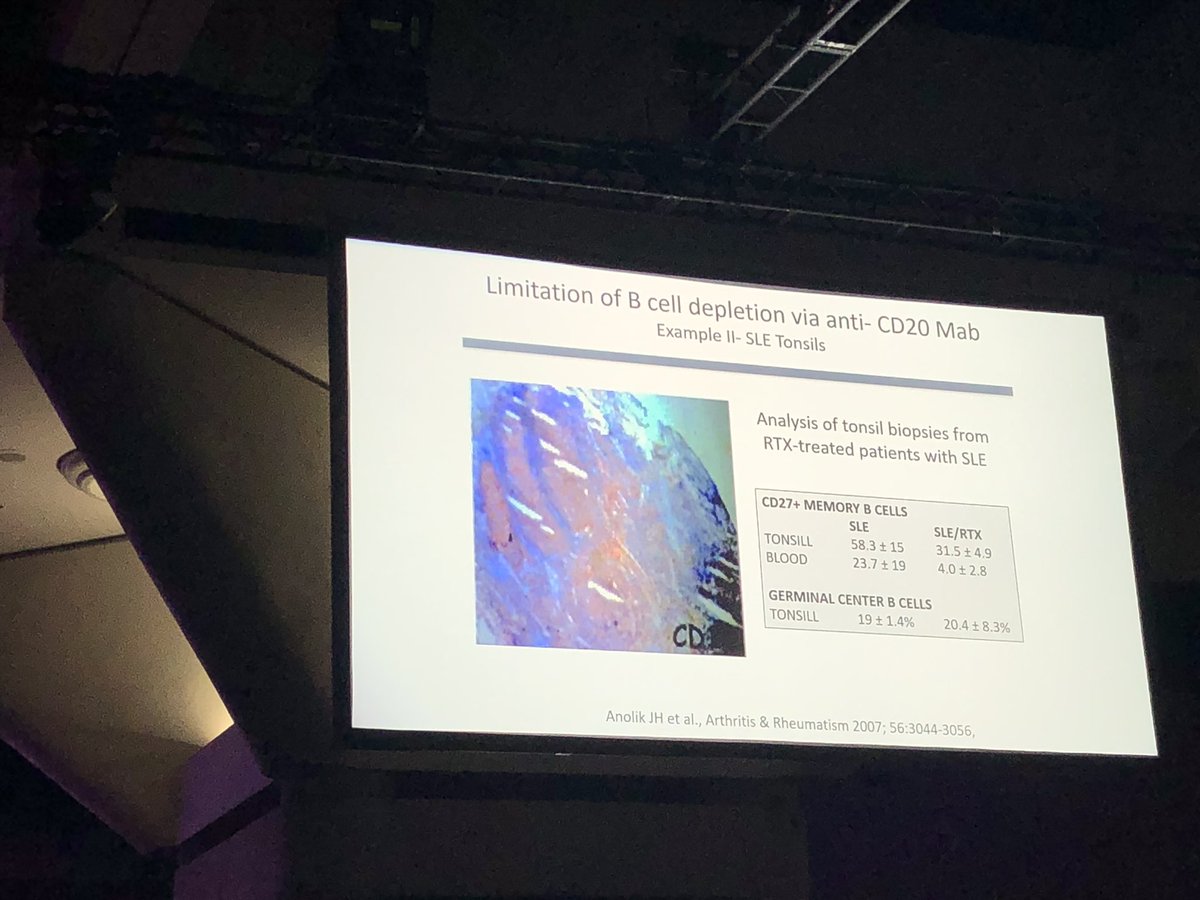 Jen Anolik (@jenanolikmd) on Twitter photo The promise of CAR-T therapy in severe SLE and autoimmune disease #ACR23 with Dr Georg Schett. Excited to see our early work on rituximab in SLE cited <a href="/URMC_AIR/">URMC Allergy, Immunology, Rheumatology</a> <a href="/URMC_DeptMed/">URMC Department of Medicine</a> #URochesterResearch #AdvancesHappenHere The promise of CAR-T therapy in severe SLE and autoimmune disease #ACR23 with Dr Georg Schett. Excited to see our early work on rituximab in SLE cited <a href="/URMC_AIR/">URMC Allergy, Immunology, Rheumatology</a> <a href="/URMC_DeptMed/">URMC Department of Medicine</a> #URochesterResearch #AdvancesHappenHere