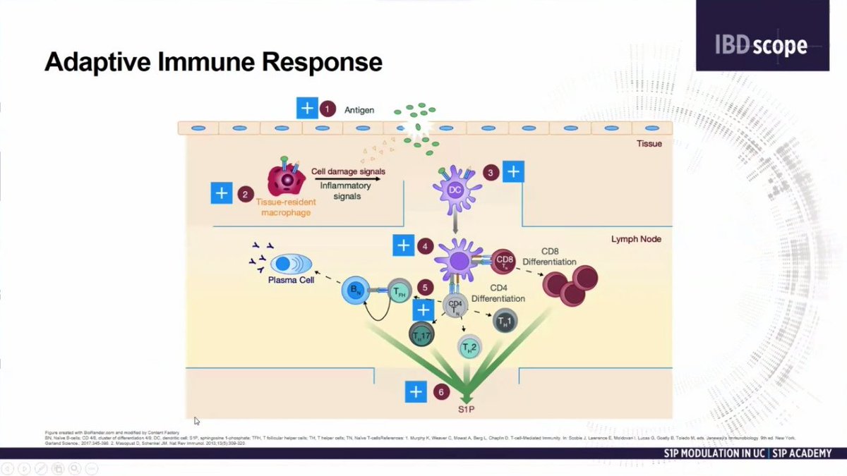 drRobinDud's tweet photo. 14 Nov 2023
Next #IBDscope webinar 🌍
at the same day as great meeting in @CleClinicMD🌎
🫴#S1P modulation in #UC
Emerging new targets: form the bench to the clinic
by @RajaAtreya 👍
👉A lot of important knowledge 🦉to understang way of action of SP1 Rec. inh 👌
#IBD #colitis