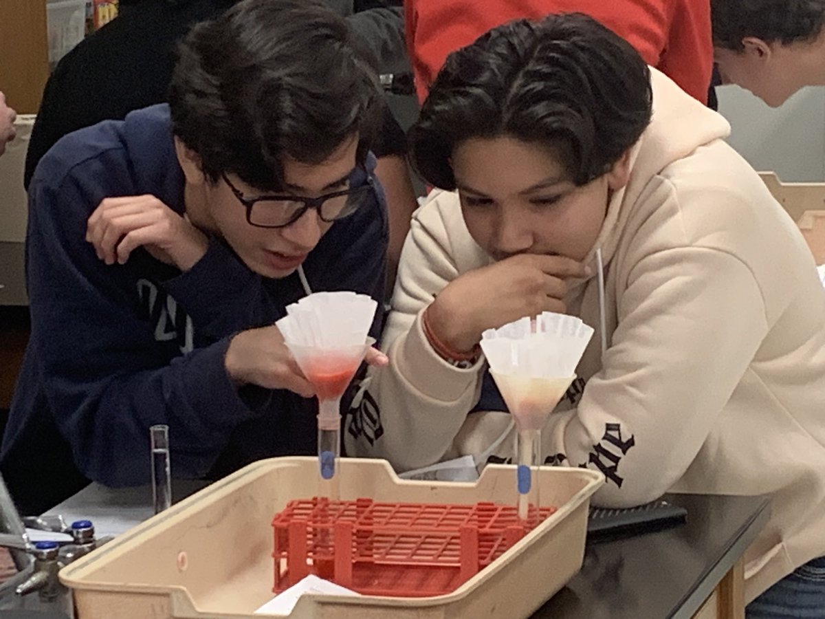 Spalding_Bio's tweet photo. A quick Strawberry DNA Extraction Lab yesterday and today to wrap up our unit before Thanksgiving break next week. 
🍓 🧬 
#RHSScience #DentonISDDelivers #DNA @RHSRaiders @dentonisd https://t.co/zcPpTQbvDd