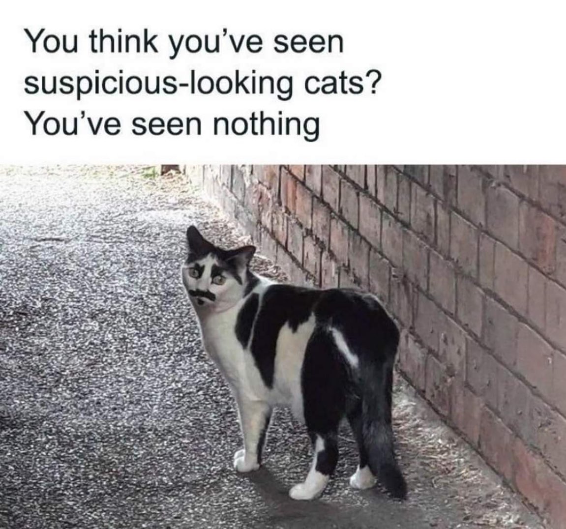 I was never here! 😂😂😂