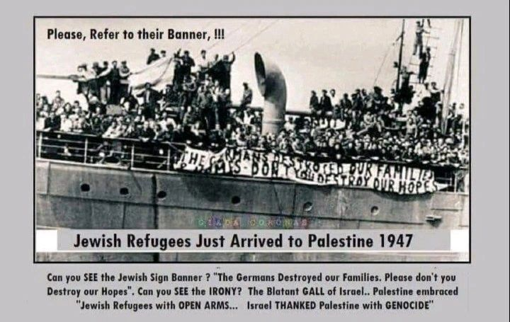 <a href="/RandomTheGuy_/">The Random Guy</a> <a href="/CensoredMen/">Censored Men</a> The last time they showed empathy by accepting these creatur3s👇