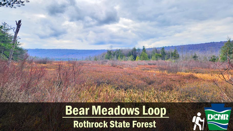 DCNRnews's tweet photo. The 2.4 Bear Meadows Loop in #RothrockStateForest circles a high mountain wetland where wild cranberries can be spotted. The Bear Meadows Natural Area protects this unique, rare ecosystem. Learn more โก https://t.co/wDJyKLvV9H. #TrailTuesday #PaStateForests #FallInPa https://t.co/F7cx24KugH