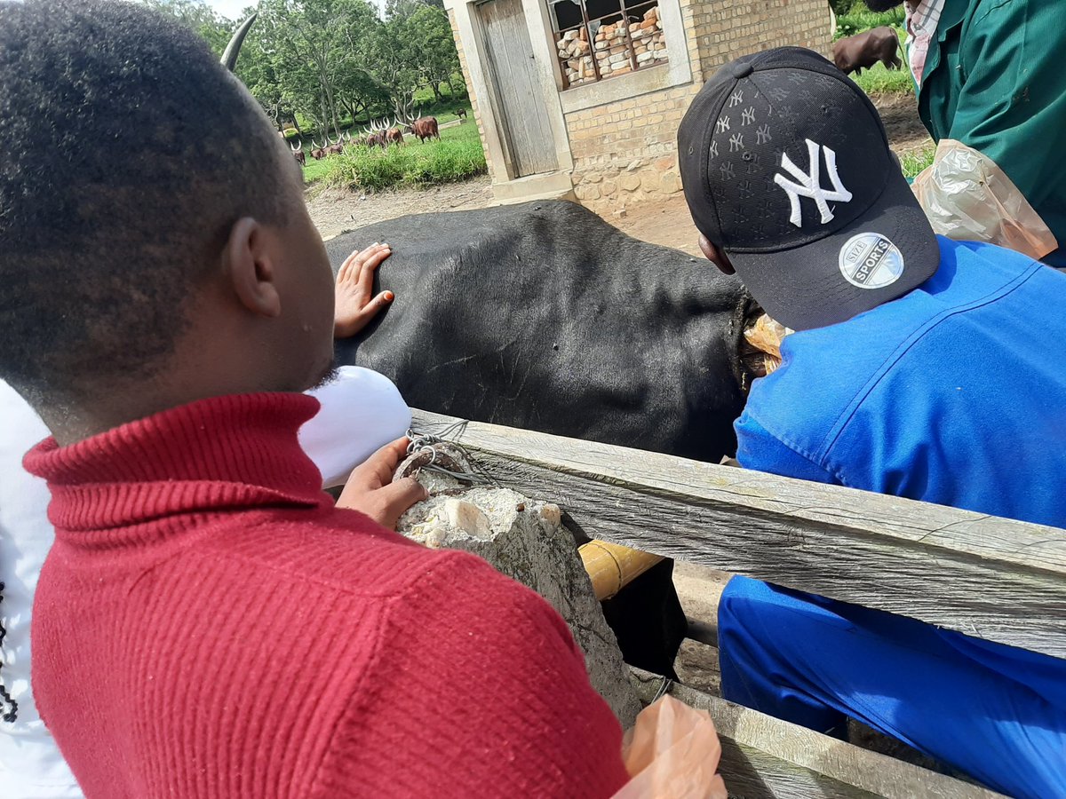 Elysee ISHIMWE .N tweet media