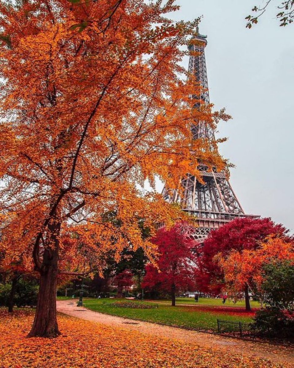 Autumn in Paris.