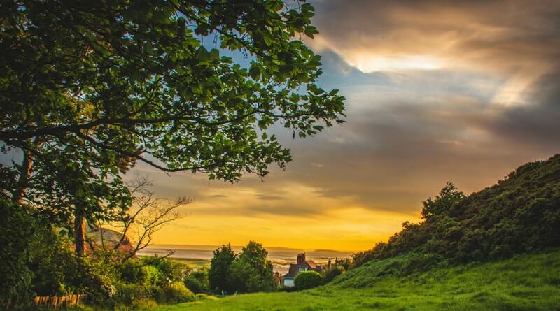 iluminar_Inc's tweet photo. Light is not just a daily phenomenon; it's the essence of life itself-- from its role in photosynthesis to its illuminating benefits in security. Learn more below:
https://t.co/CUwi8PG1il https://t.co/cednUMQfWv