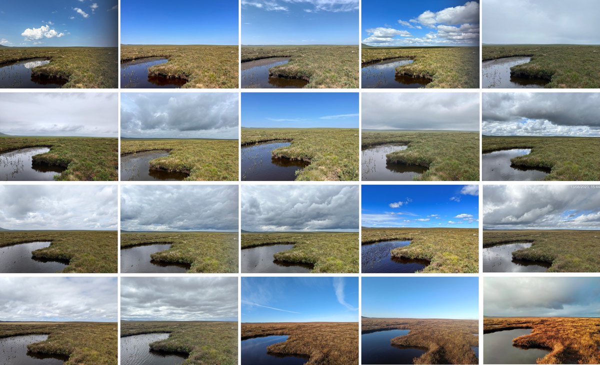 Dr Scott J. Davidson tweet media