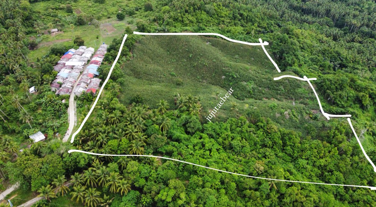 jujutaebear's tweet photo. For Sale: 6.8 hectares | Dayap, Agdangan, Quezon Province

Price: 11.9M 

If you happen to know someone interested in buying agricultural lots please do message me. Let's talk business 🤩

One rt-er will get 30k once sold. (via twitter picker) must like and rt post 🥳 https://t.co/danrHeq1GS