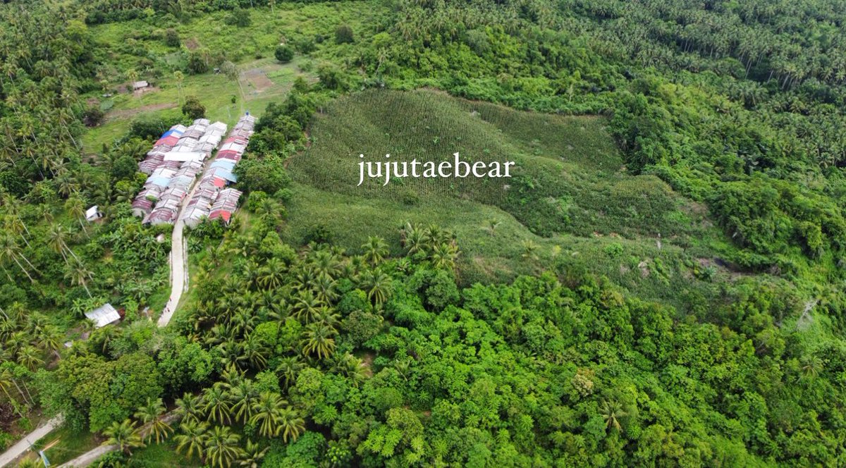 jujutaebear's tweet photo. For Sale: 6.8 hectares | Dayap, Agdangan, Quezon Province

Price: 11.9M 

If you happen to know someone interested in buying agricultural lots please do message me. Let's talk business 🤩

One rt-er will get 30k once sold. (via twitter picker) must like and rt post 🥳 https://t.co/danrHeq1GS