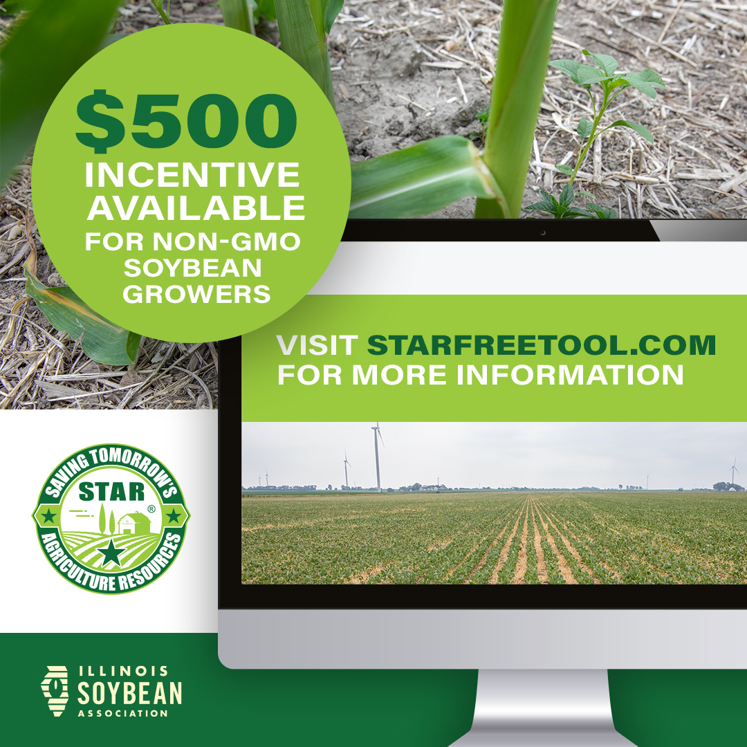 STARfreetool's tweet image. As a non-GMO soybean farmer, you may get $250 for filling out this survey and up to an additional $2,400 for planting cover crops.

Deadline: December 4th.

Get details and apply now at starfreetool.com/non-gmo-soy-gr…

@ILSoybean #STARfreetool #soybean #nongmo #Illinois #covercrops