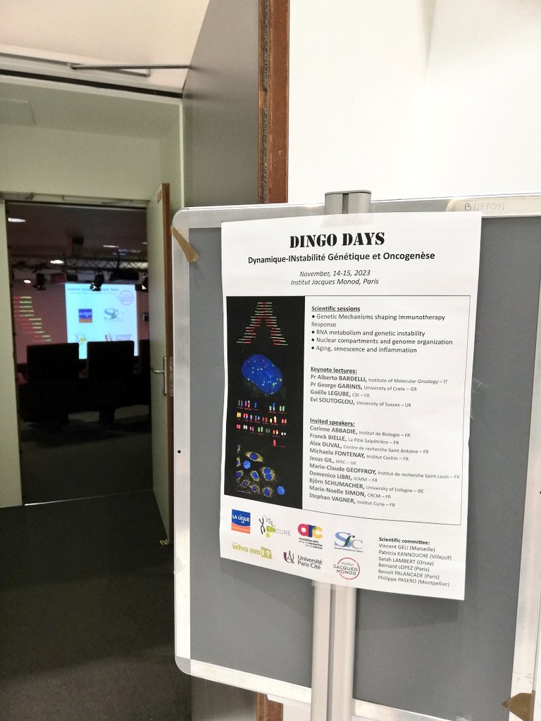 ✨Today and tomorrow, at the <a href="/IJMonod/">Institut Jacques Monod</a>, we sponsor the #Dingodays! 

Organized by V Geli, P Kannouche <a href="/KannoucheLab/">Kannouche Lab</a>, S Lambert <a href="/SarahLa47195747/">Lambert Lab</a>, B Lopez <a href="/Bernard_S_Lopez/">Bernard Lopez</a>, B Palancade @PalancadeLab, &amp; P Pasero @PaseroLab

▶️dingo2023.fr/en/