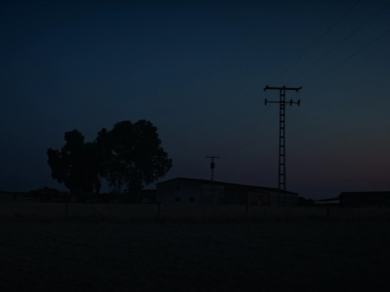 Cerdita (2022)

Dir. Carlota Pereda
Cin. Rita Noriega