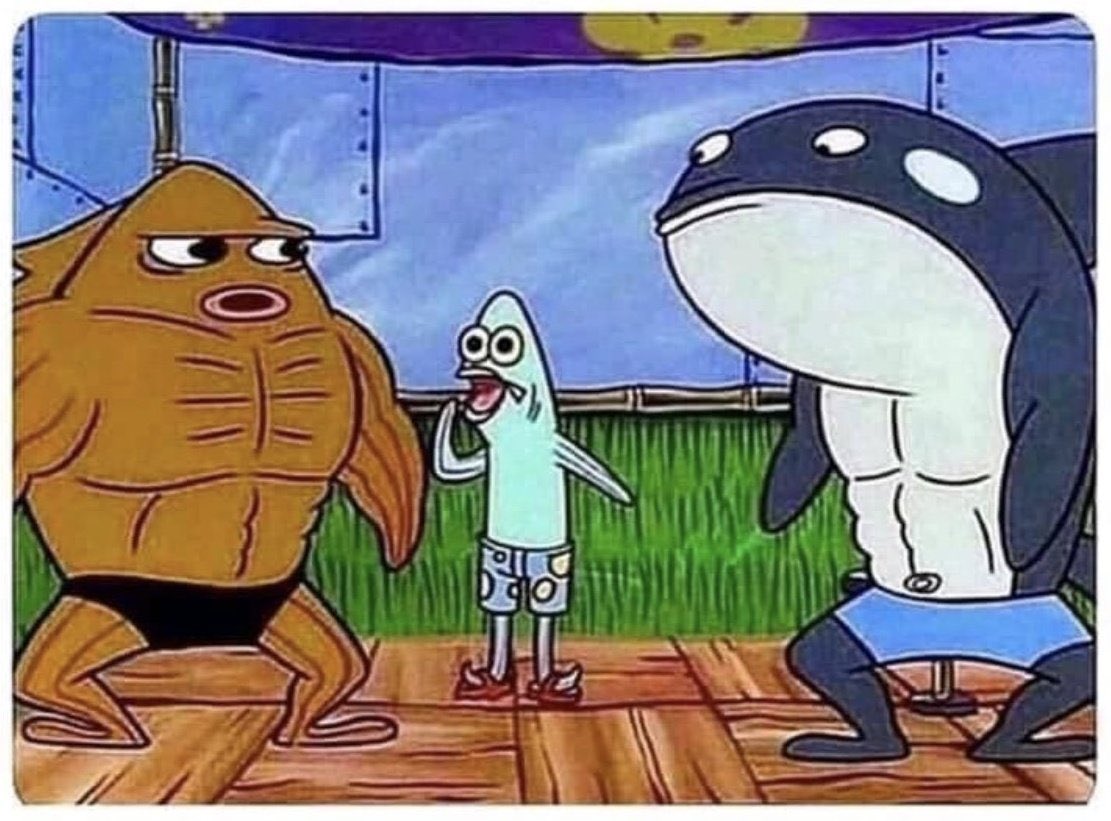 pyperxox's tweet image. me at the gym asking if anyone is using the 5 lb dumbbell