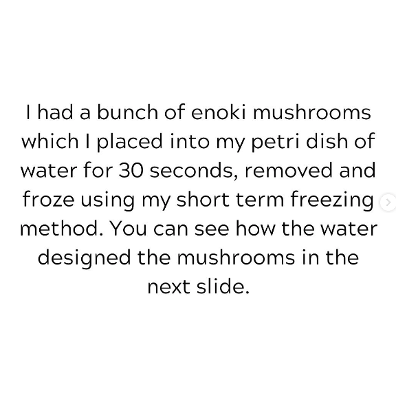 Tony Shields tweet media