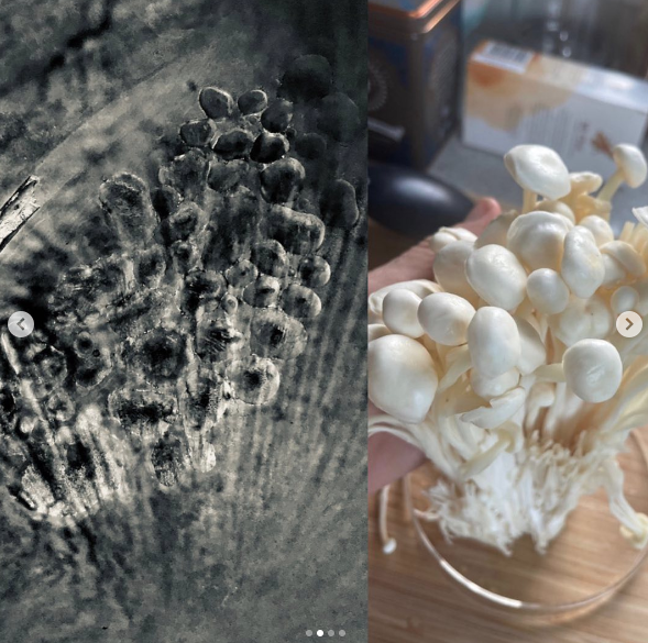 Tony Shields tweet media