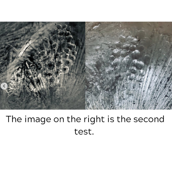 Tony Shields tweet media