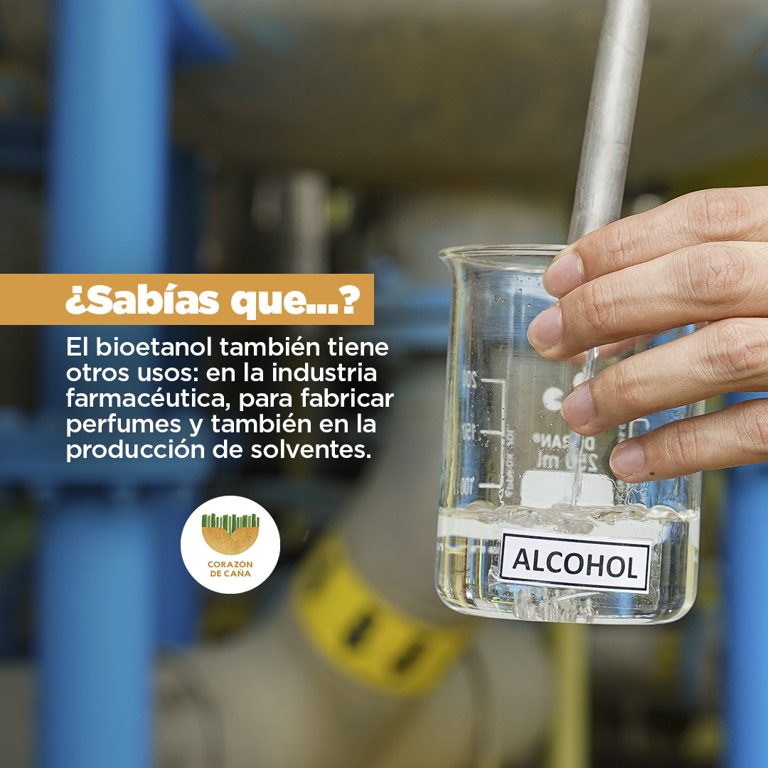 Riopaila Castilla S.A. tweet media