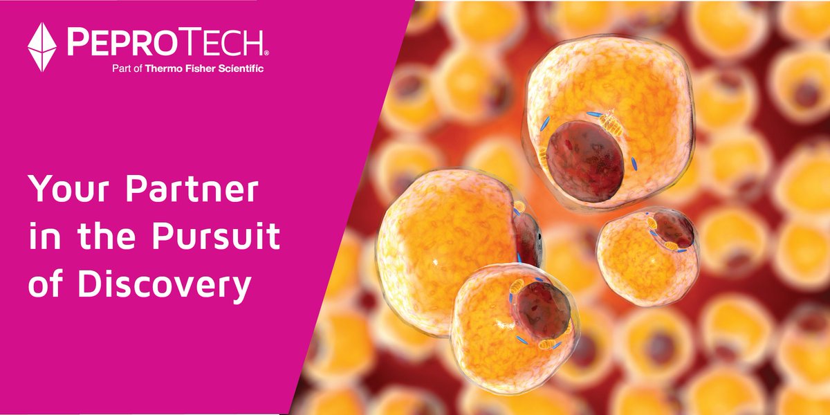 PeproTech supports #WorldDiabetesDay. To learn more about PeproTech’s products for your research, please visit: bit.ly/3LYlTxp #DiabetesResearch