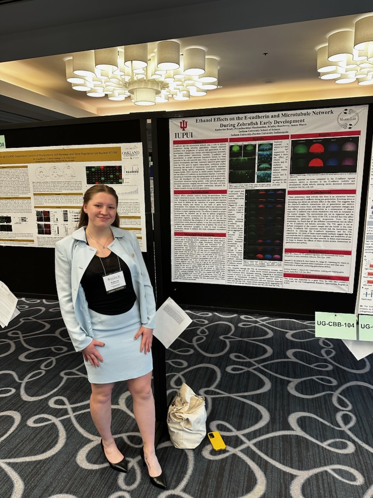 Marrs Laboratory tweet media