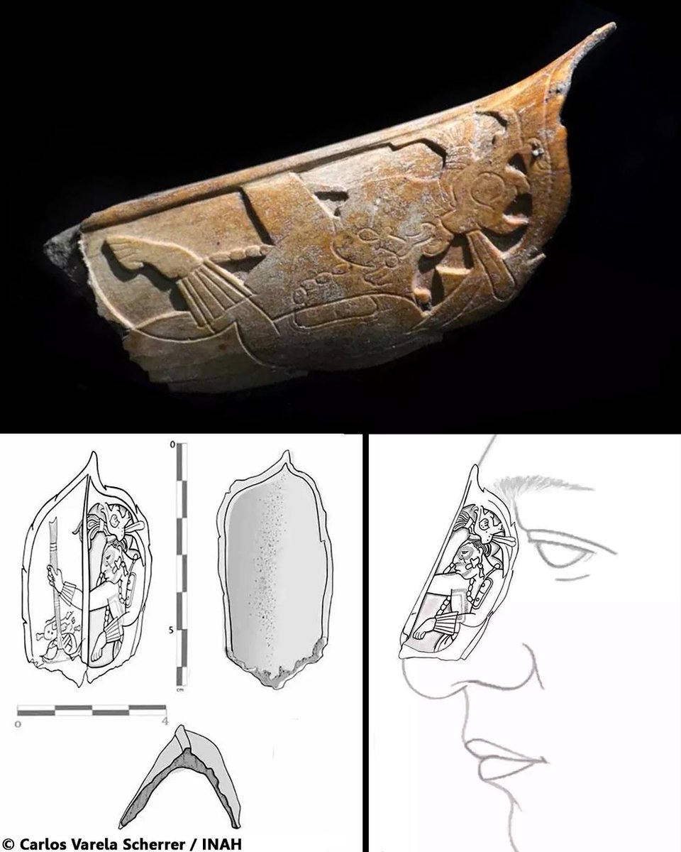 Maya nose ornament made of human bone unearthed at Palenque Ruins Archaeologists have discovered an intricately carved nose ornament crafted from human bone, during their excavations at the Maya city of Palenque in Mexico. Continue Reading: archaeologymag.com/2023/09/maya-n… #archaeology