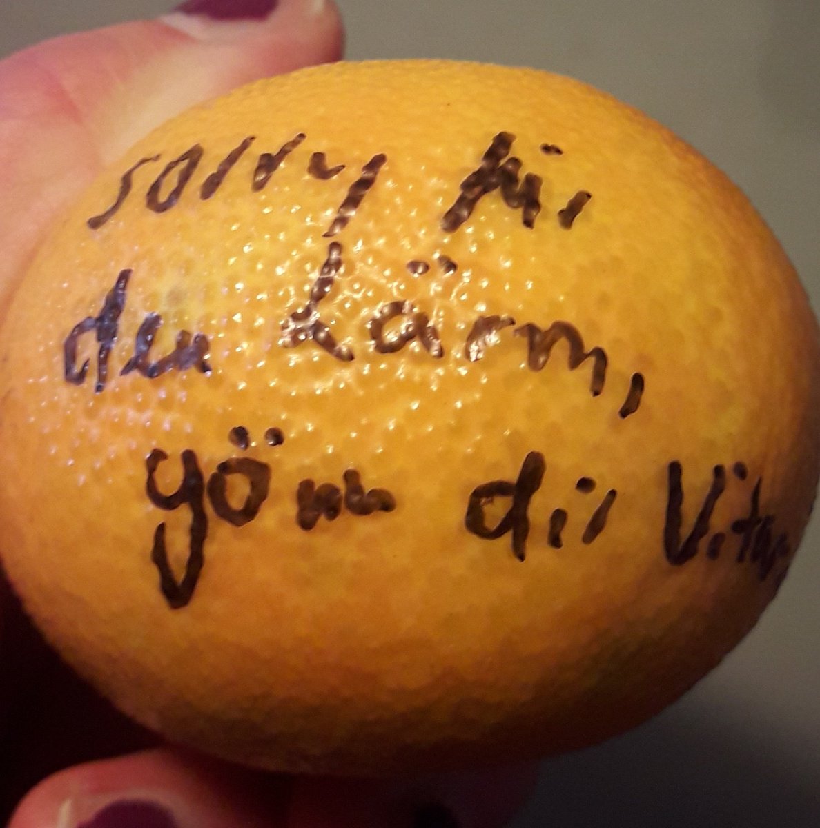 ach_clara's tweet photo. mein mitbewohner hat heute im arbeitszimmer lautstark seinen werkzeugkoffer neu sortiert während ich arbeiten musste aber ich bin nicht sauer weil er mir eine entschuldigungsmandarine auf den schreibtisch gelegt hat https://t.co/rFCXRcZUdD