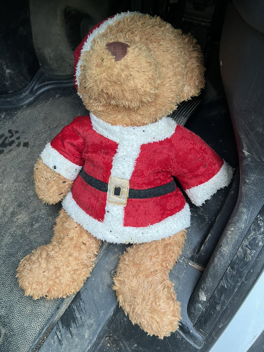 So dad was out working today and at a delivery he saw this bear lying there on the floor in the wet and covered in leaves! He didn’t think he should be there all cold and discarded so he put him in his van and brought him home, he was deffo there a while. Now he’s having a wash