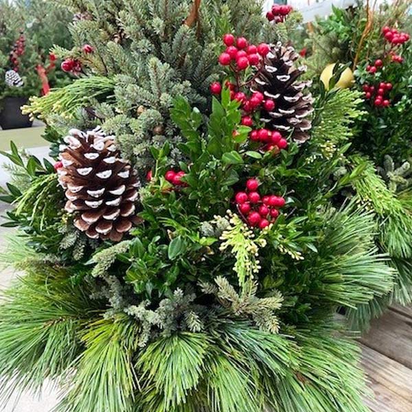 Pasquesis's tweet image. A Pasquesi classic! We are making the famous Spruce Tip Pots in 3 sizes...ready to slip into your outdoor containers. pasquesi.com/for-the-holida… #holiday #containers #sprucetip #homedecor