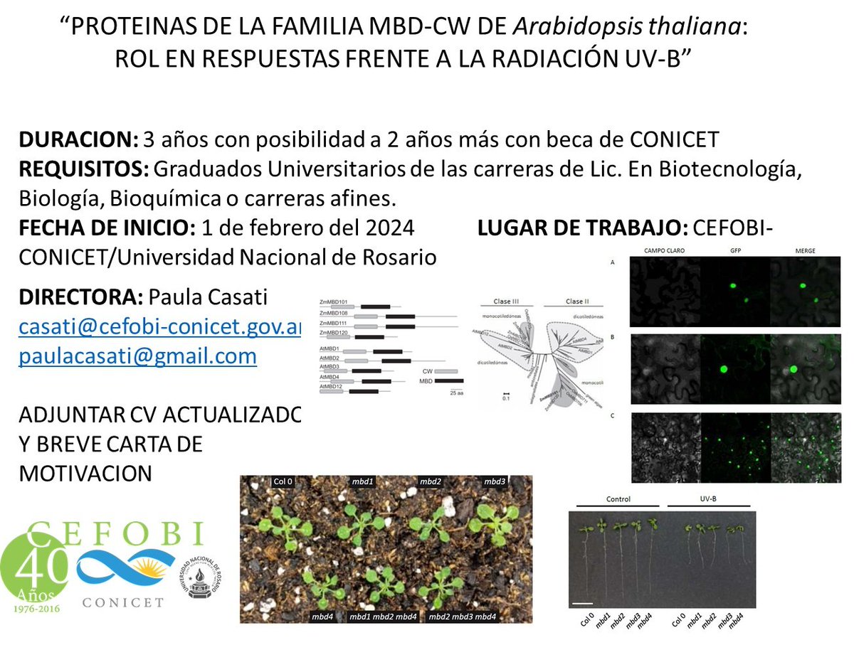 Paula Casati tweet media