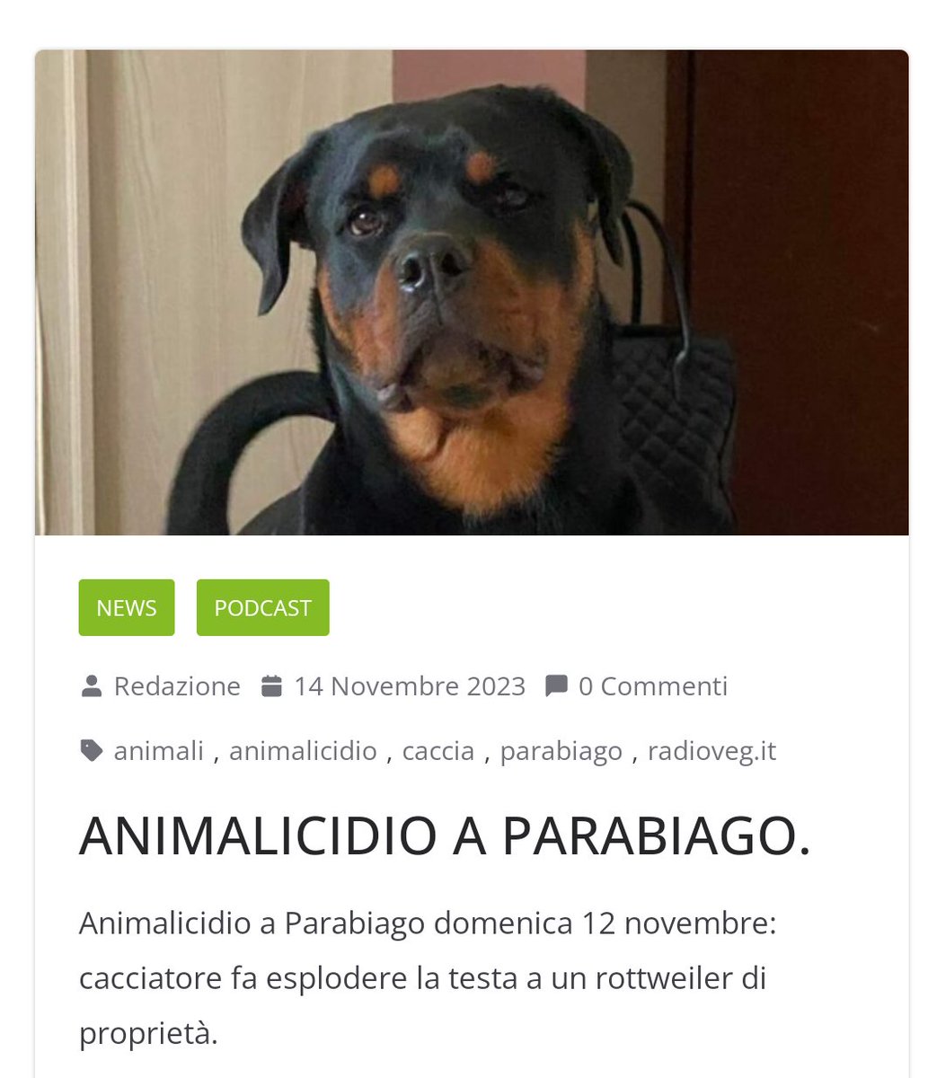 Brutta vicenda in provincia di Milano.
Leggi e condividi: radioveg.it