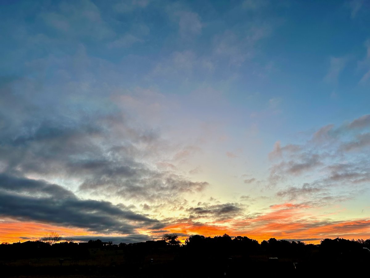 Susan J. Tweit tweet media