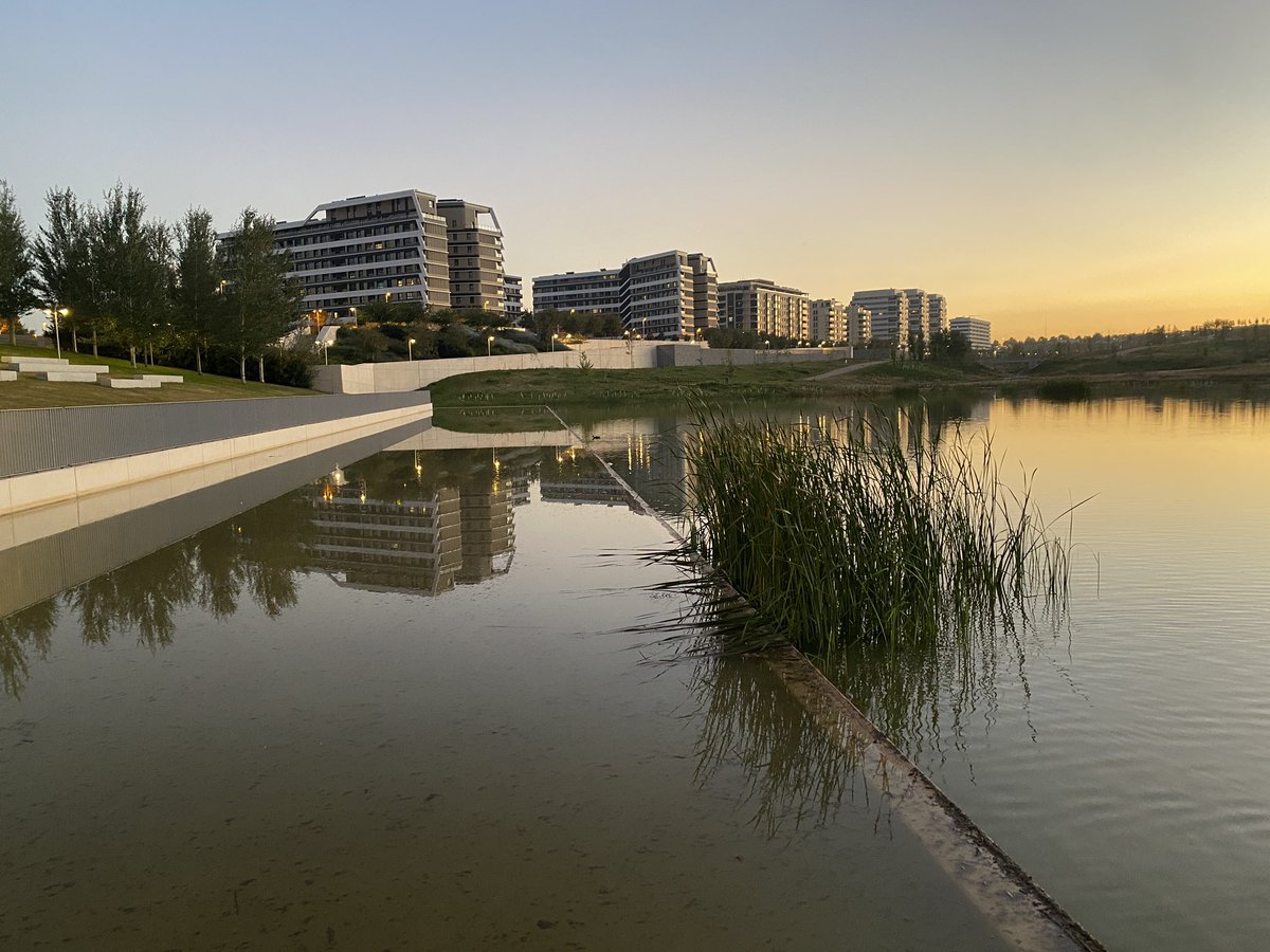 eduardo romero tweet media