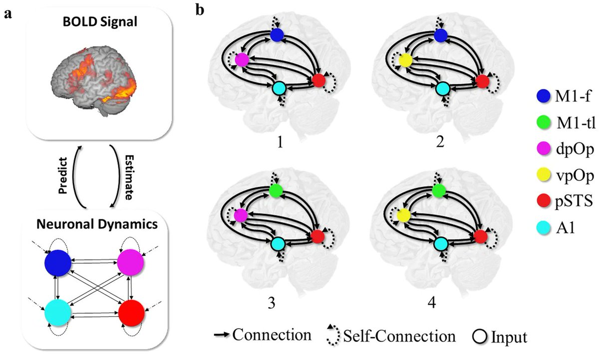 Communications Biology (@commsbio) on Twitter photo @nsajidt, <a href="/PLORASResearch/">PLORAS Research Team</a>, @wchn_ucl analyze fMRI data from human participants performing speech repetition tasks, providing evidence for the existence of multiple, degenerate neural pathways capable of facilitating auditory repetition. @nsajidt, <a href="/PLORASResearch/">PLORAS Research Team</a>, @wchn_ucl analyze fMRI data from human participants performing speech repetition tasks, providing evidence for the existence of multiple, degenerate neural pathways capable of facilitating auditory repetition.