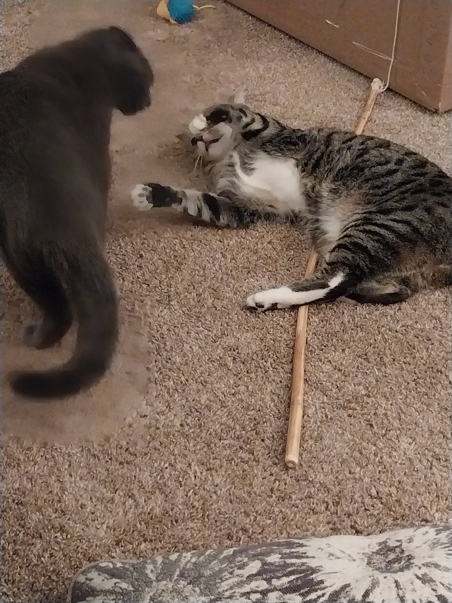KathyFlint2's tweet photo. @firelordzukitty pruf you were attacked by appropriate jerkface. https://t.co/bC5l63n0V0