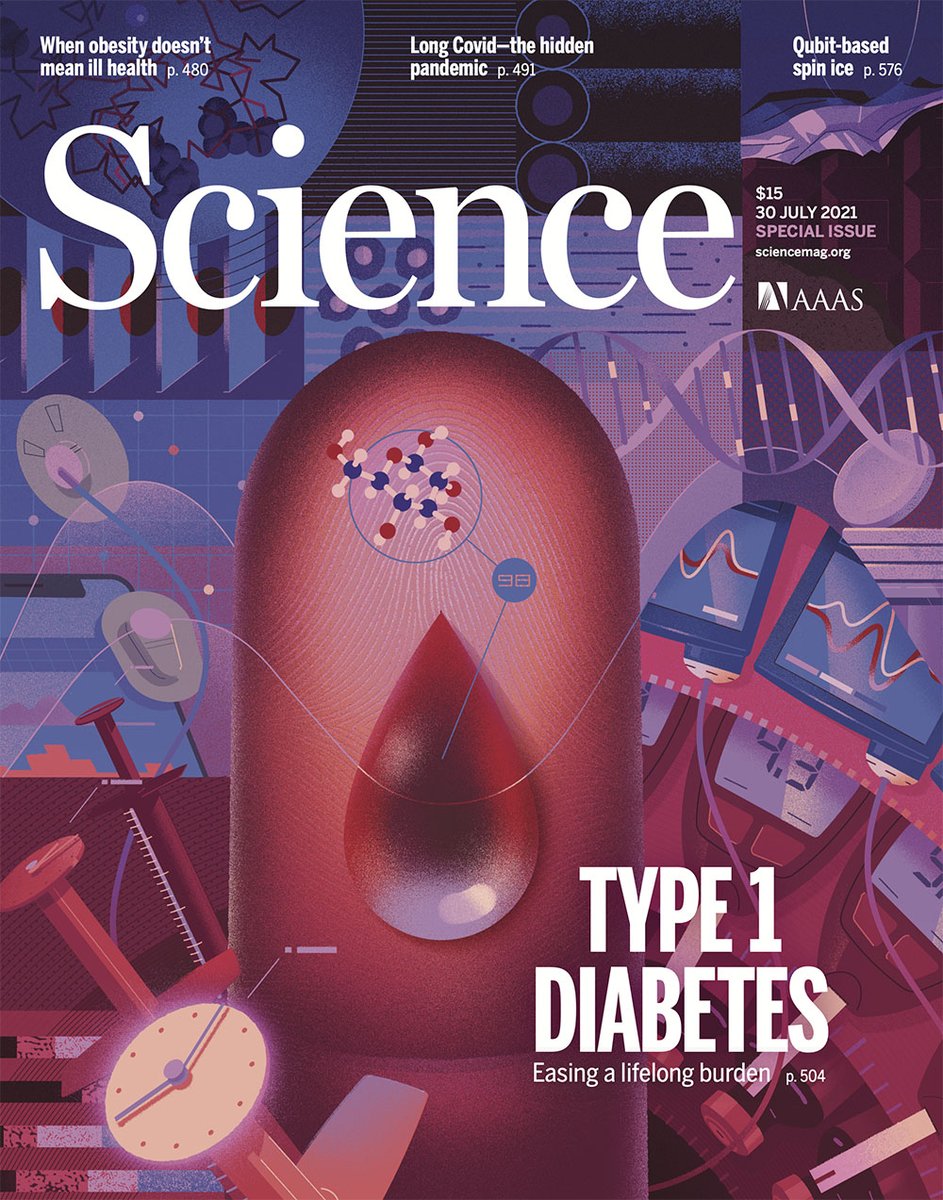 More than 100 years after the discovery of insulin, type 1 diabetes remains a chronic disease that requires lifelong daily management. A special issue looked at the advances that have expanded researchers’ grasp of this disease. scim.ag/4OU #WorldDiabetesDay