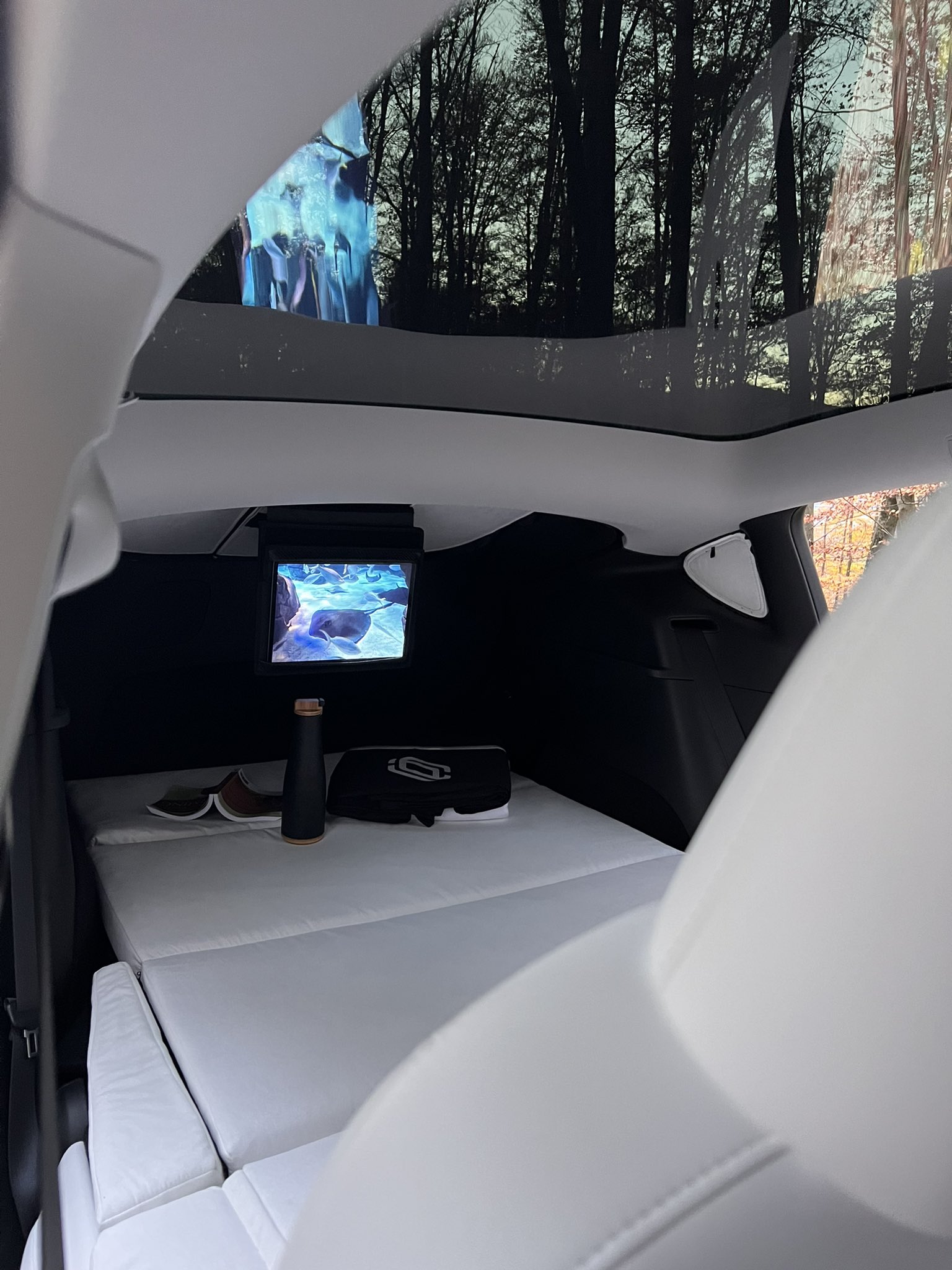 Dreamcase 2024 model y