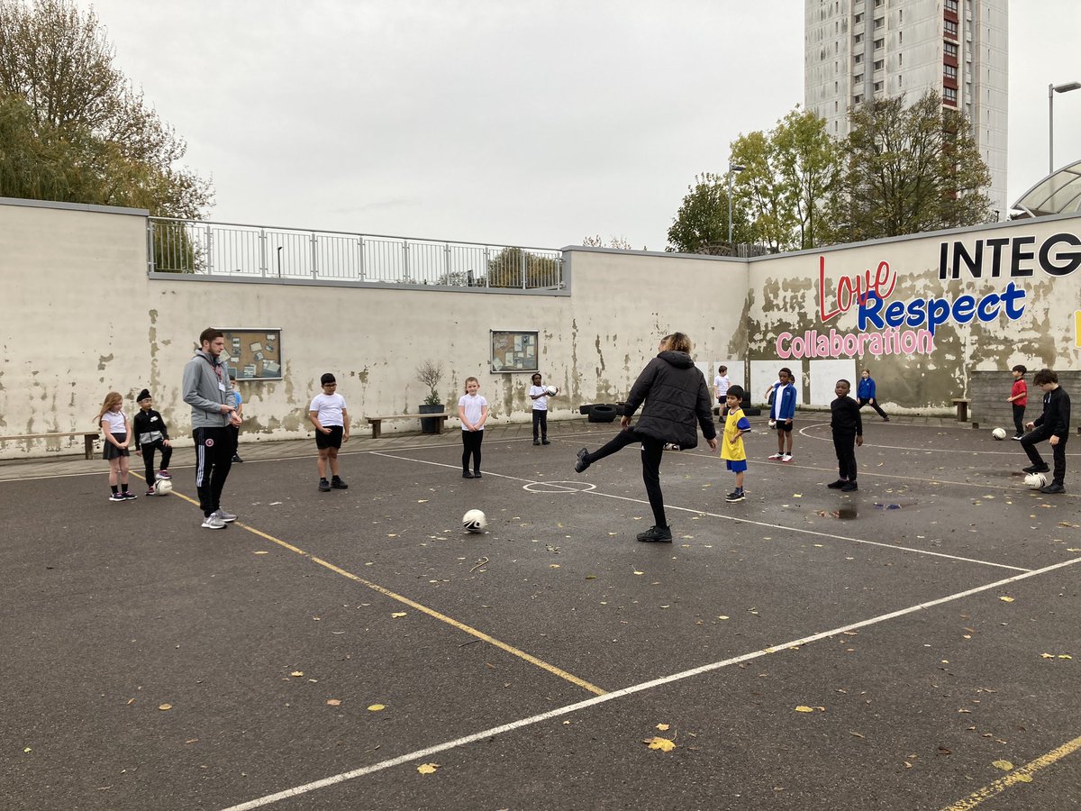 Foxfield - Year 3 tweet media