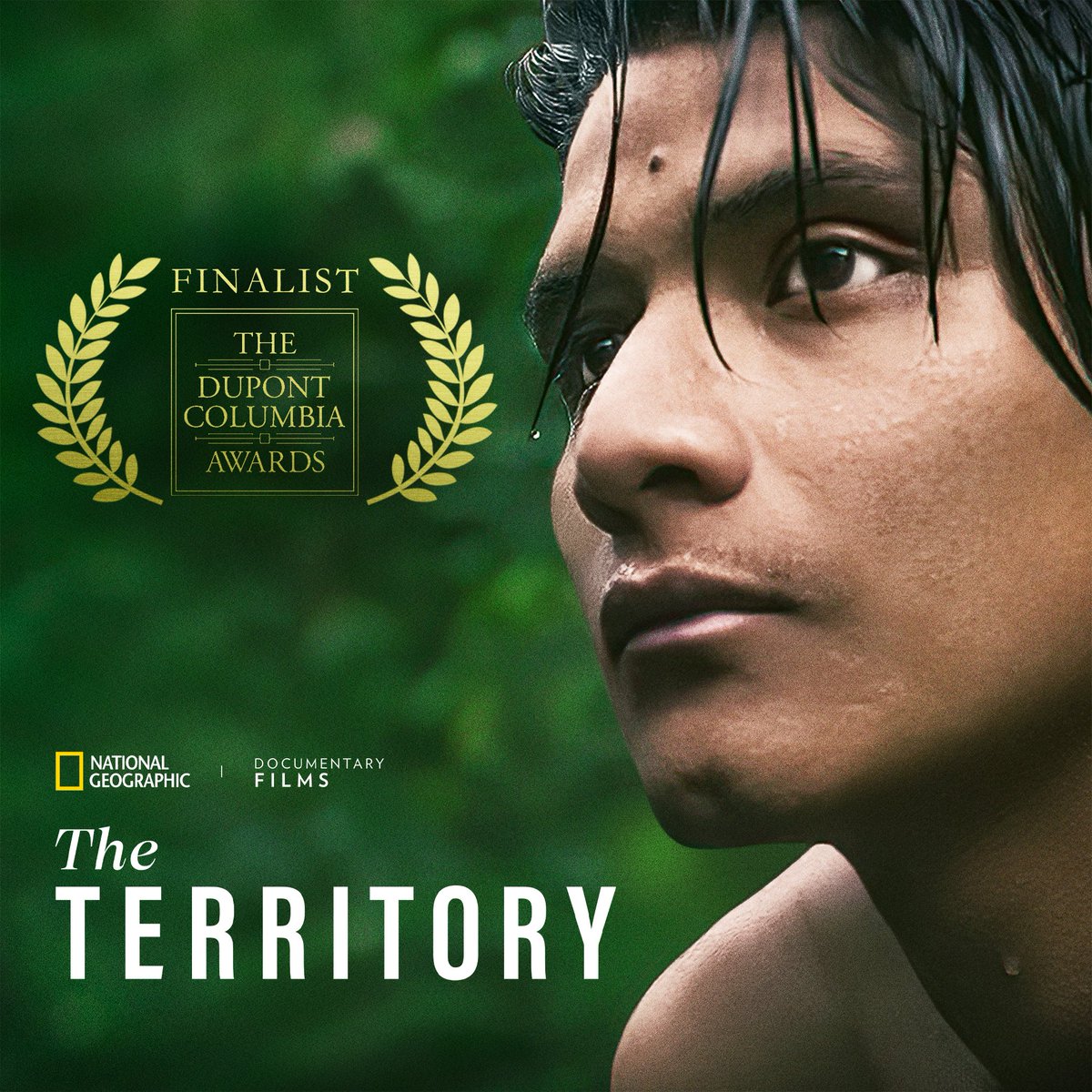 The duPont-Columbia Awards, which honor stories and films for socially impactful storytelling, have named #TheTerritory as one of their 2024 finalists! Watch this important documentary exposé about the Uru-Eu-Wau-Wau's fight for their sovereignty now on @hulu and @DisneyPlus