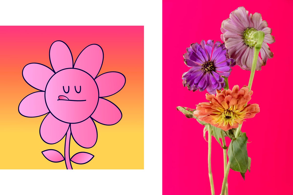 Anna Condo tweet media