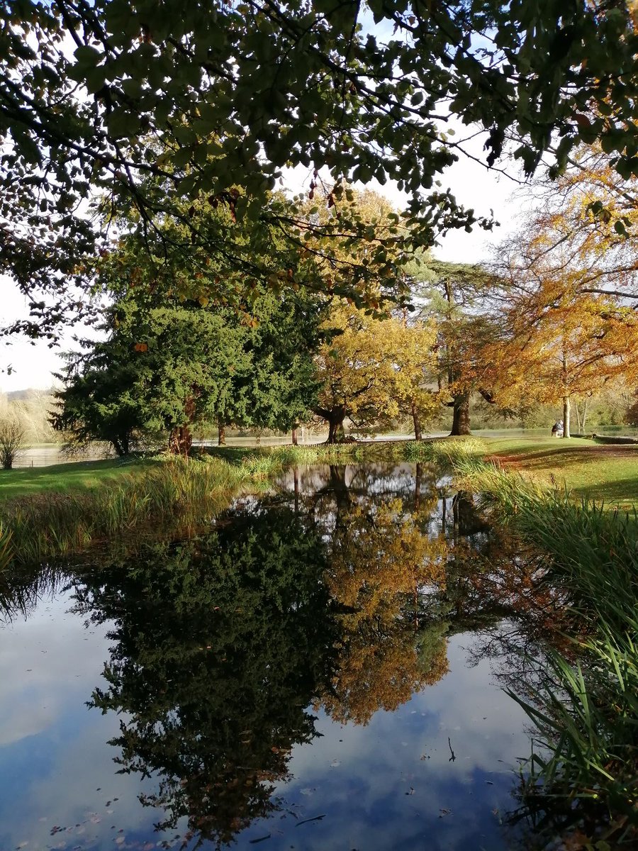 Salisbury 6th Form College (S6C) tweet media