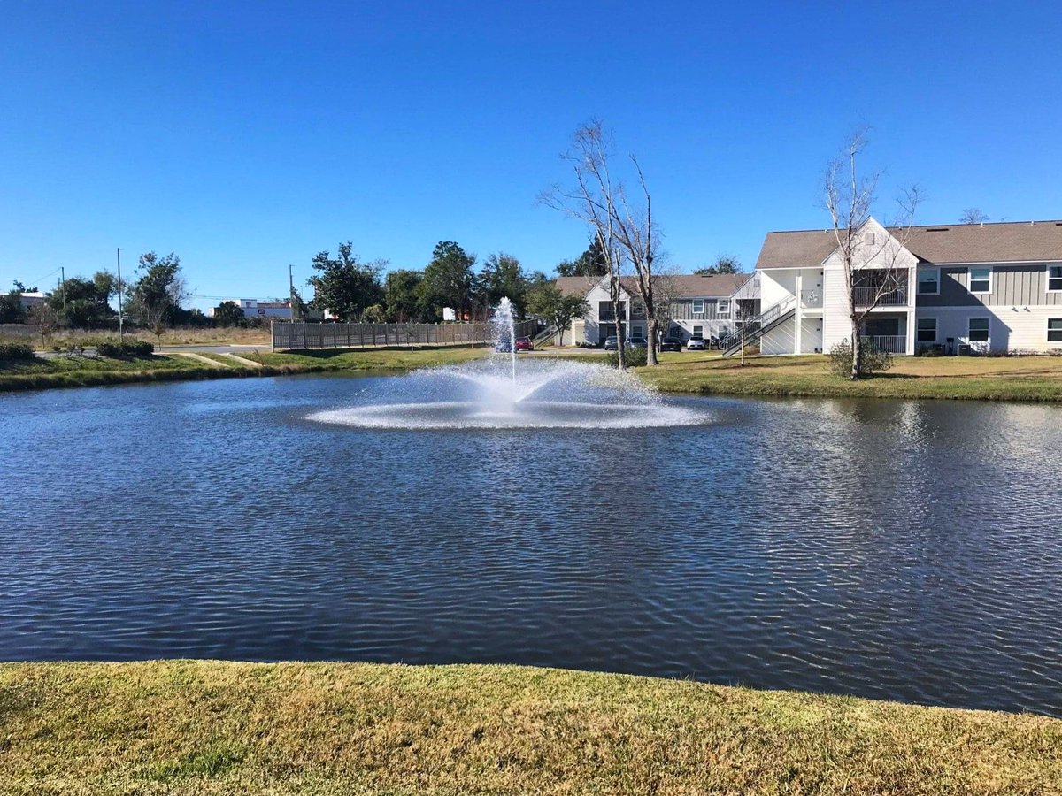 Our Annual Water Management Program is designed to keep your lake or pond in pristine condition year-round with monthly treatments performed by our licensed Aquatic Technicians. ⛲️🌾 Learn more at lakedoctors.com #thelakedoctors #lakemanagement #aquaticexpert