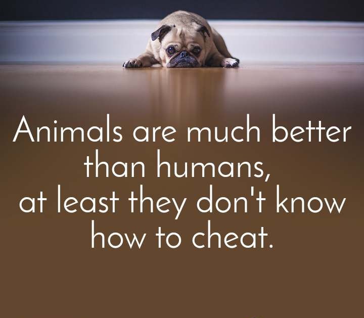 SagaciousRakesh's tweet image. #TheSagaciousMavericks #RIPHumanity