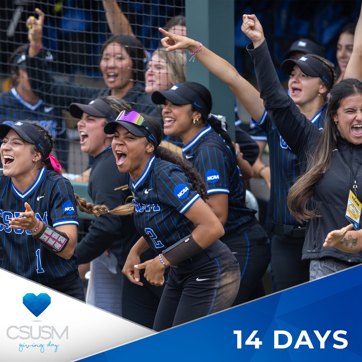 CSUSM Softball tweet media