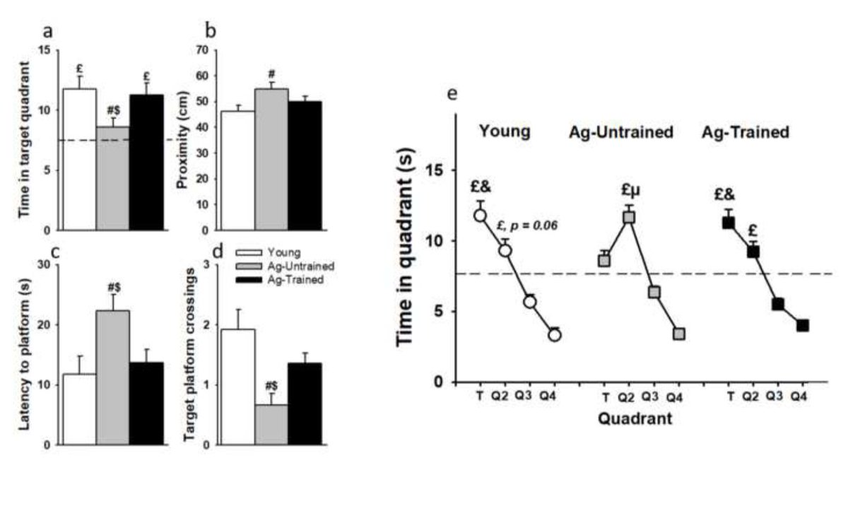 GeroScienceAGE's tweet image. 📢New Recommended Reading📖
Intermittent working memory training during adulthood protects against age-related long-term spatial reference memory decline in rats by Alexandra Barbelivien et al.
link.springer.com/article/10.100…
#aging #workingmemory #spatialmemory #watermaze