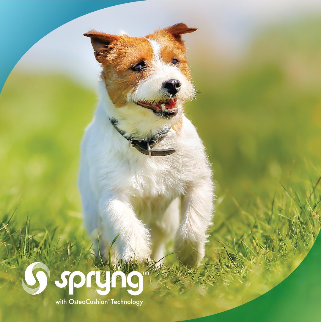 Delivering the joy of movement. That's what Spryng™ with OsteoCushion™ Technology can help you do. Learn more at zurl.co/6I5P