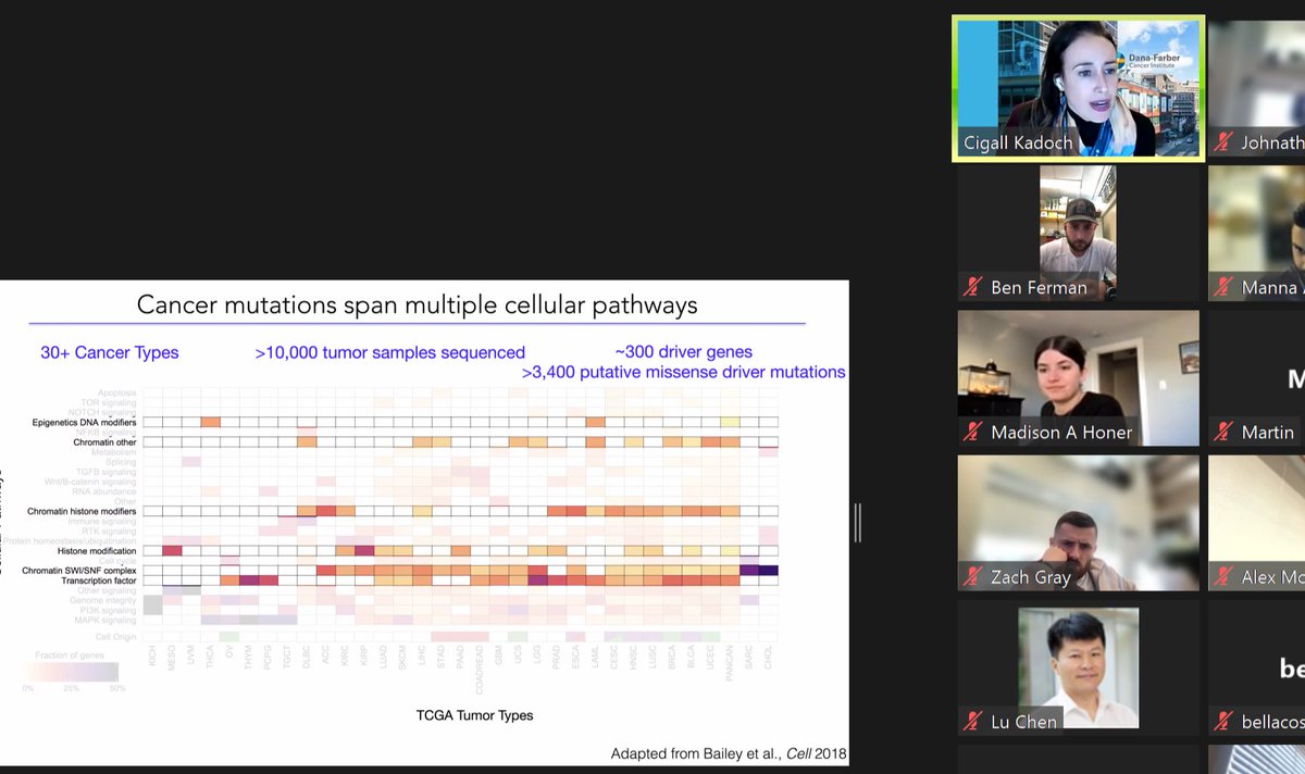 #FromthePapertotheScientist @CeiFccc @FoxChaseCancer with @CKadoch @HHMINEWS @DanaFarber today! What a treat for the @CeiFccc trainees- learned about SWI/SNF, her science and more. Thanks, Cigall!!! See upcoming FPS world-leaders impacting our trainees- see QR code