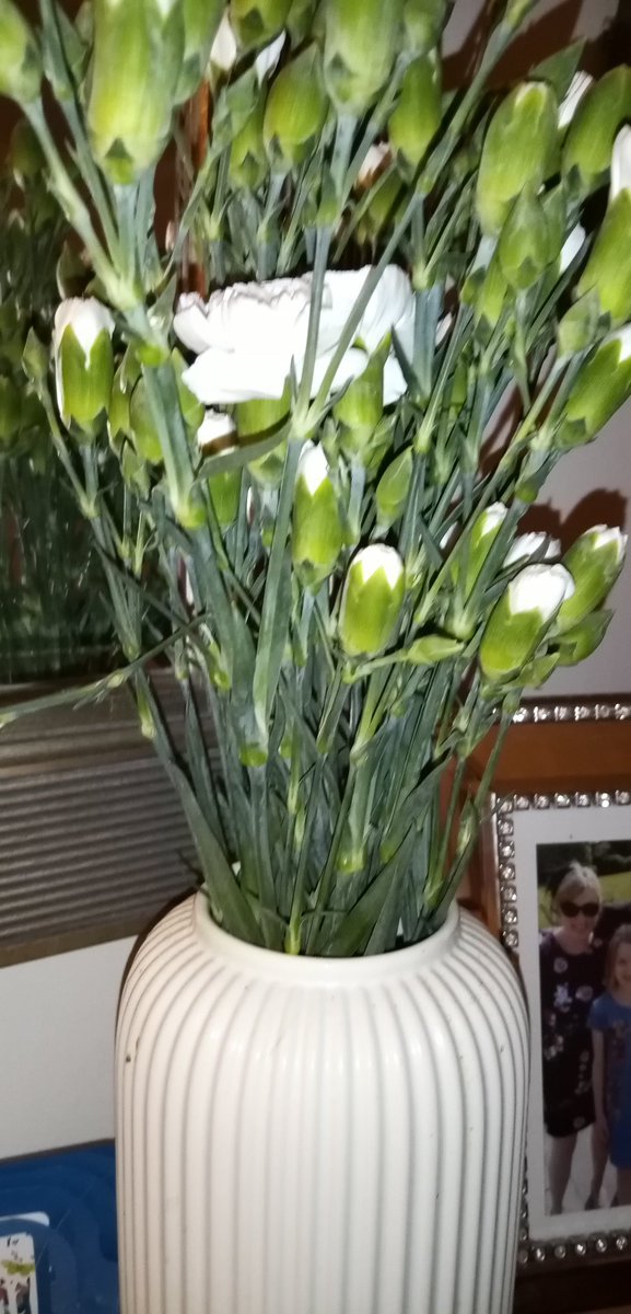 My lovely friend and colleague left some flowers on my desk at school, for #WorldDiabetesDay She is so kind and thoughtful and has been with me since the beginning of this battle. Thank you <a href="/missspe3/">Miss S</a> xxx