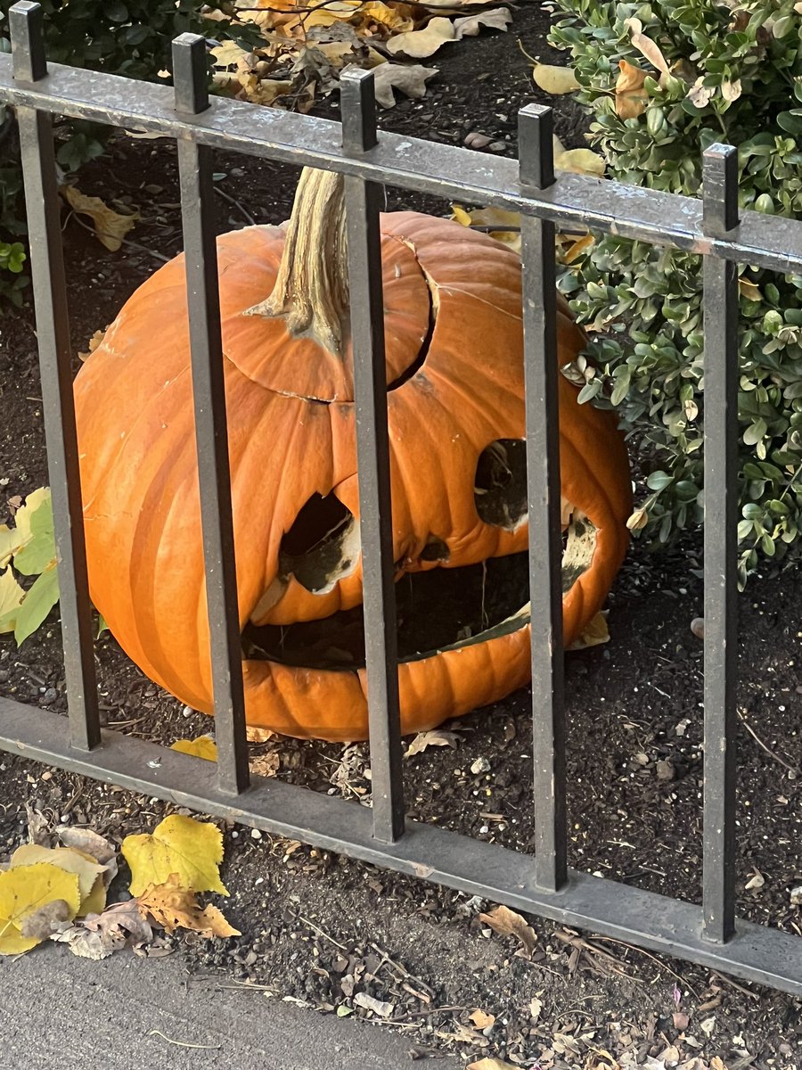 jpbrammer's tweet photo. imprisoned for his crimes https://t.co/Jc2e7TVsnX